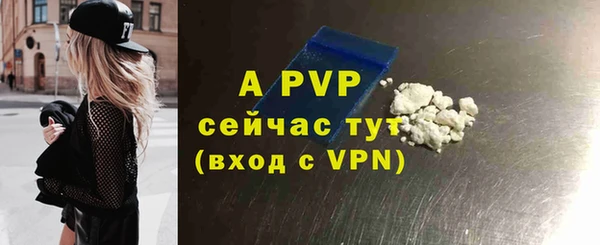 эйфоретик Баксан