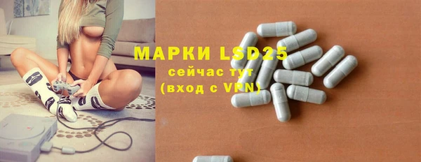 PSILOCYBIN Балахна