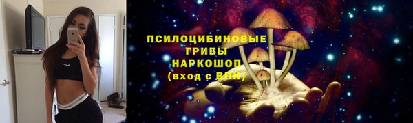 шишки Арсеньев