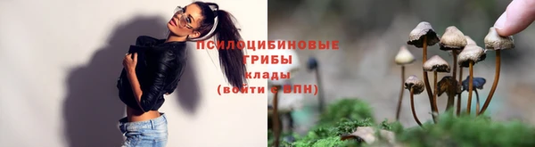 PSILOCYBIN Балахна