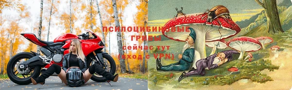 PSILOCYBIN Балахна