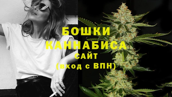 PSILOCYBIN Балахна