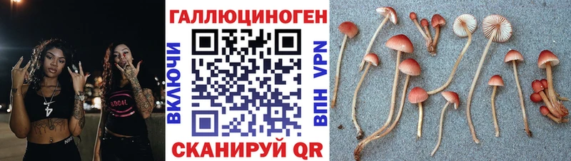 Псилоцибиновые грибы мицелий  Углич 